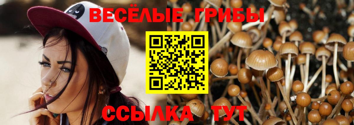 Псилоцибиновые грибы прущие грибы Анапа